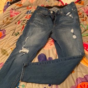Torrid Premium Jeans size 16R